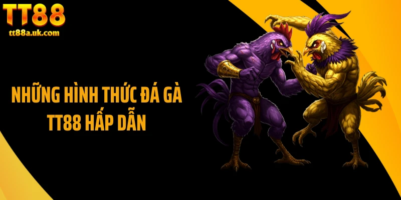 Những hình thức đá gà TT88 hấp dẫn