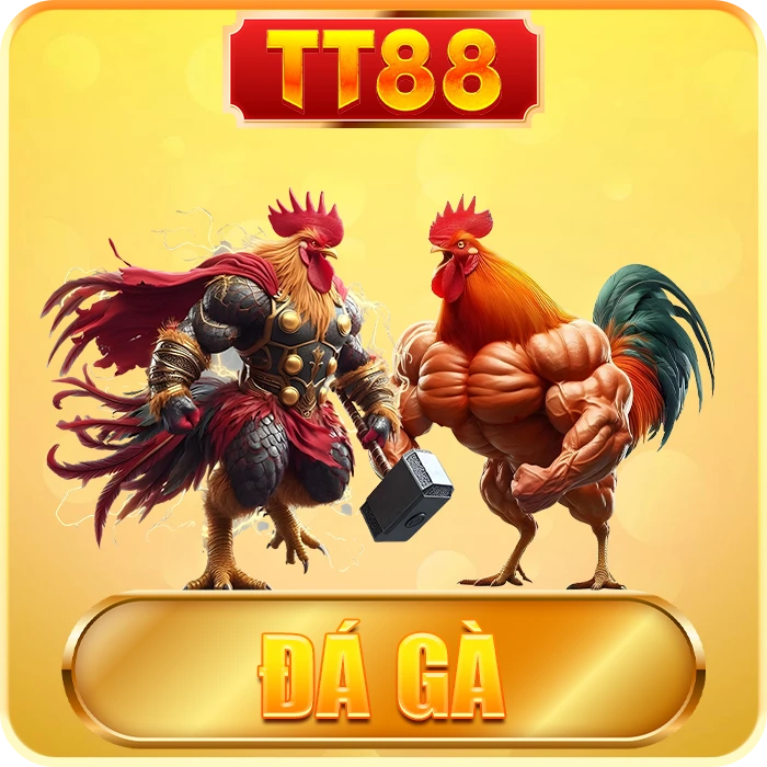 tt88 đá gà